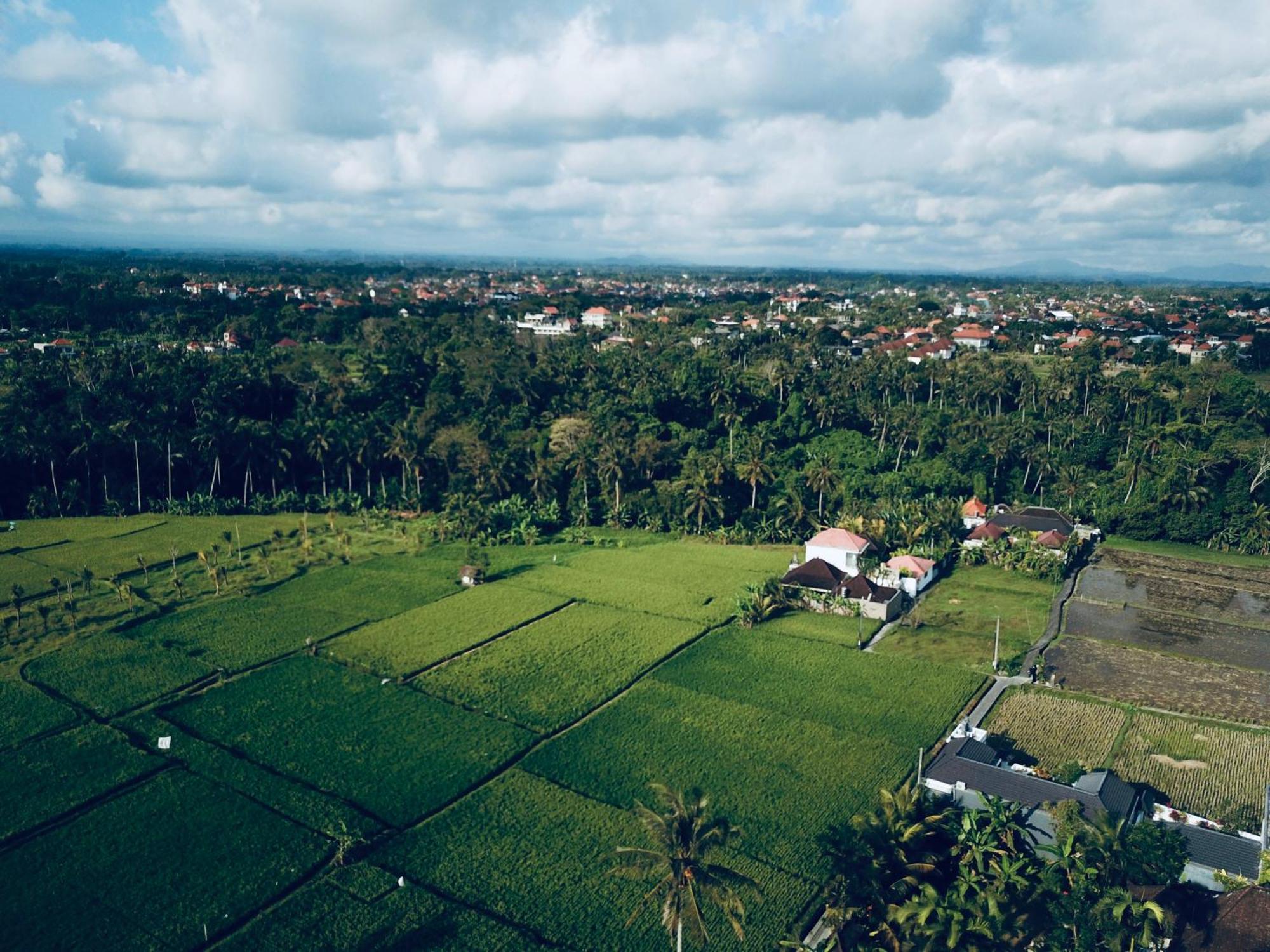Villa Sari Padi House Ubud